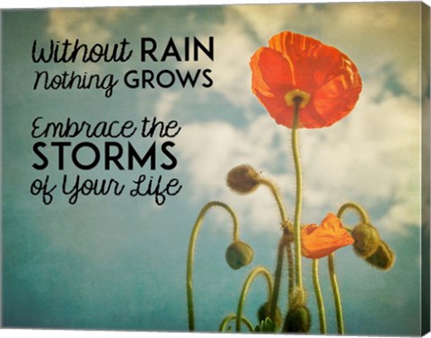 Framed Without Rain Nothing Grows Color Print