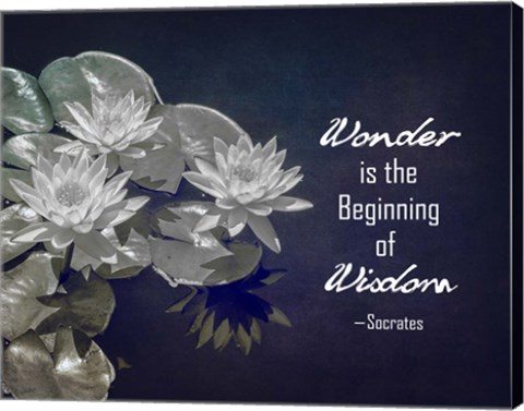 Framed Wonder is the Beginning of Wisdom Water Lily Black and White Print