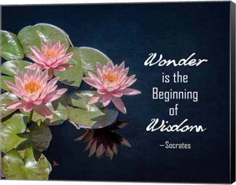 Framed Wonder is the Beginning of Wisdom Water Lily Color Print