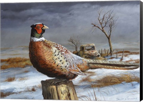 Framed Old Perch Print
