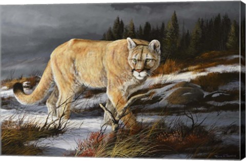 Framed Evening Hunter Print