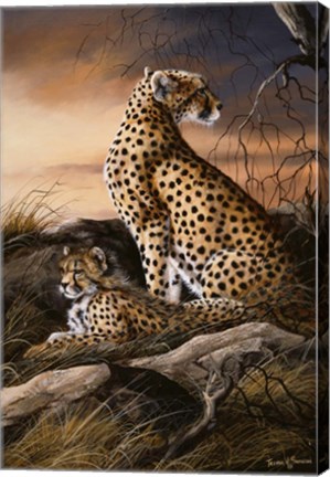 Framed Cheetahs Of Dusk Print