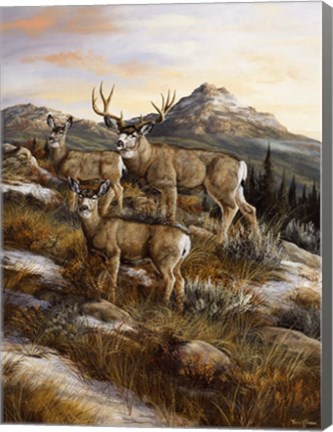 Framed Colorado Royalty Print