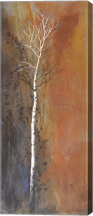 Framed Canyon Ward Print