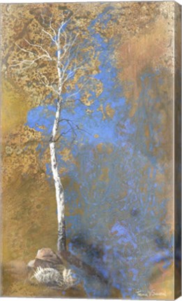 Framed Dusk Shadows Print