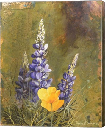 Framed Poppies And Lupine Print