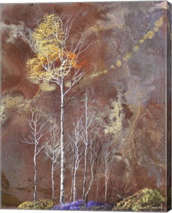 Framed Under Watchful Branches Print