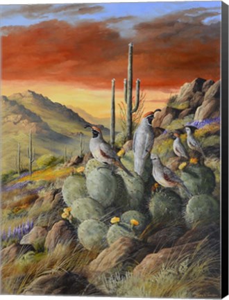 Framed Desert Refuge Print