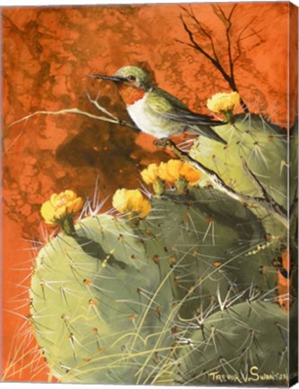 Framed Prickly Thorns Print