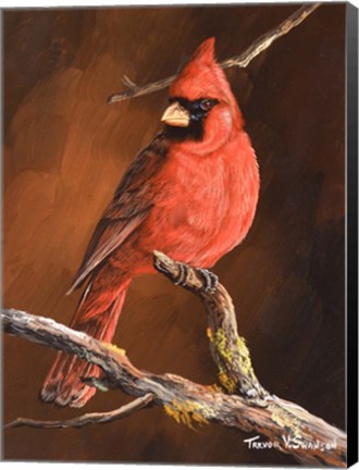 Framed Winter&#39;s Perch 1 Print