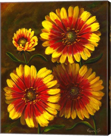 Framed Dazzlers Print