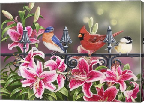 Framed Stargazers Print