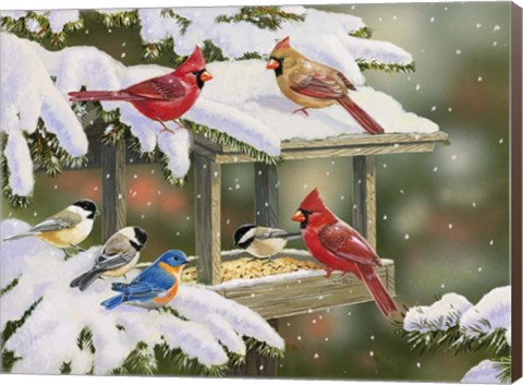 Framed Feasting at the Feeder Print