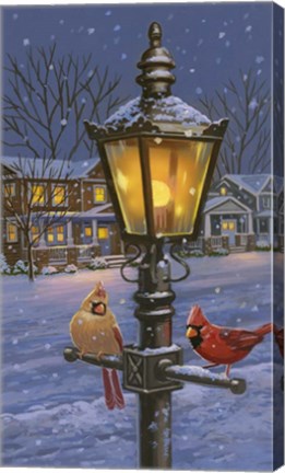 Framed Winter Glow Print
