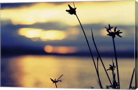 Framed Sunset Thoughts Print