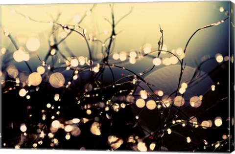 Framed When Fairies Dance Print