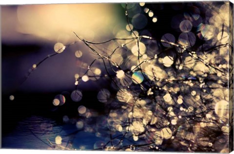 Framed When Fairies Dream Print