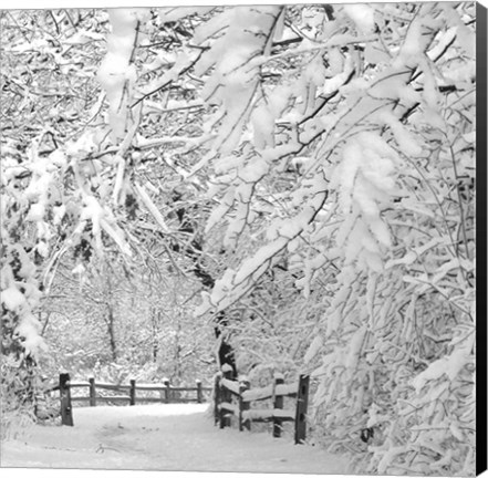 Framed Winter Wonderland Print