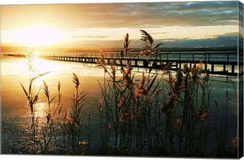 Framed Wish You Were Here Print