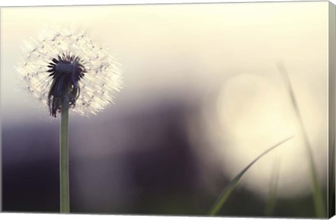 Framed Without You Print