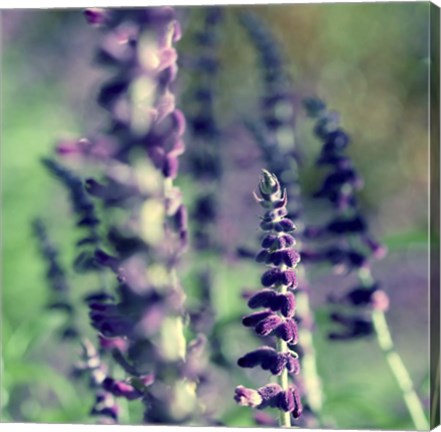 Framed Believe In Me Print