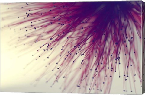 Framed Into The Unknown Print