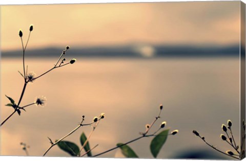 Framed Land Of Silence Print