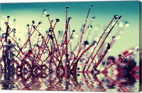 Framed Let Them Shine Print