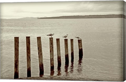 Framed Moments Passing By Print