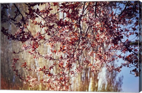 Framed New Possibilities Print