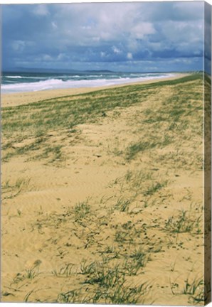 Framed Postcard  From Australia Print