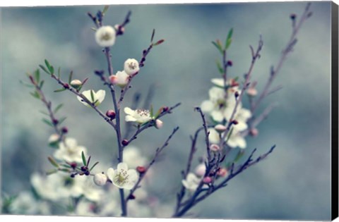 Framed Spring Impressions Print