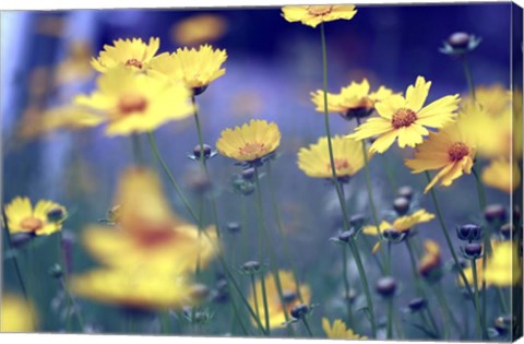 Framed Summer Dance Print