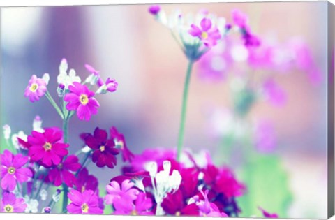 Framed Summer Notes Print