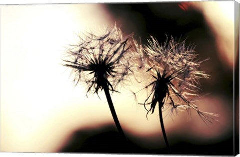 Framed Summer Romance Print