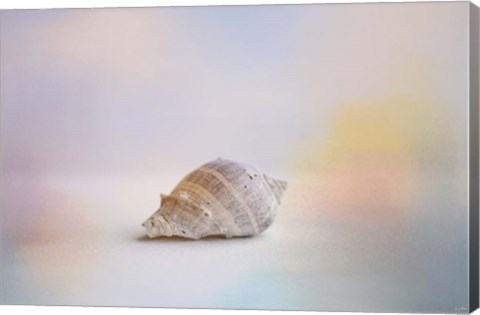 Framed Beach Memories 2 Print