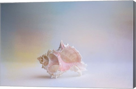 Framed Beach Memories 3 Print