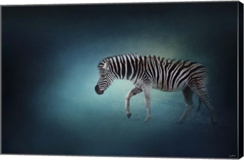 Framed Zebra In The Moonlight Print