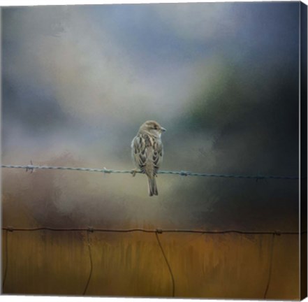 Framed Fence Master Print