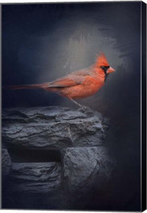 Framed Redbird On The Rocks Print