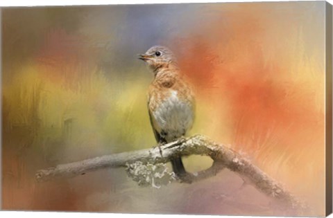 Framed Spring Song Print