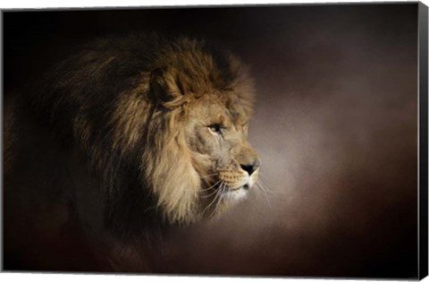 Framed Mighty Lion Print