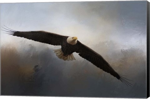 Framed In The Midst Of The Storm Print