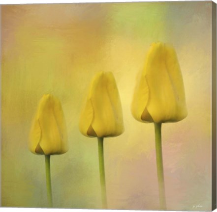 Framed Triplets Print