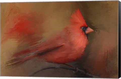Framed America&#39;s Favorite Red Bird Print
