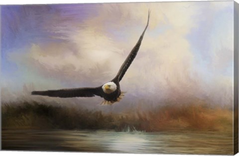 Framed Eagle In The Marsh Print