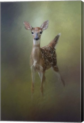 Framed Fawn In The Forest Print