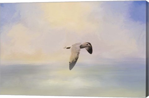 Framed Foggy Morning At Sea Print