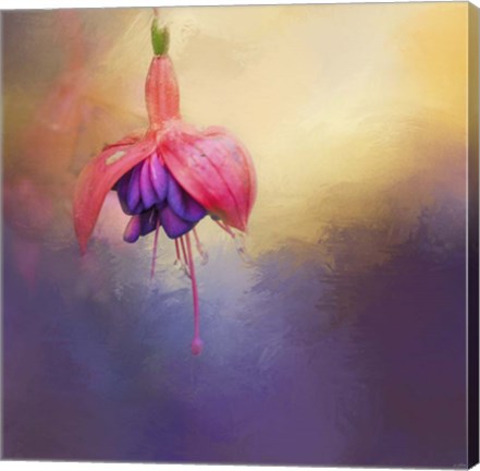 Framed Fuchsia Drop Print