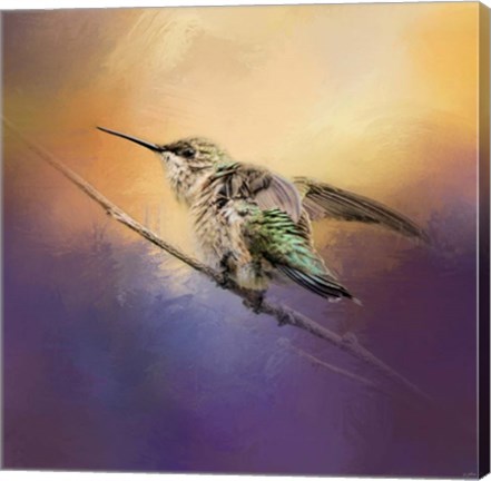 Framed Hummingbird At Sunset Print